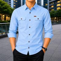 1785658986_S_3 Stylish Full Sleeve Panel Shirt